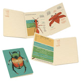 Unemployed Philosophers Guild - Insect (Entomology) Notebook