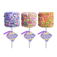 Melville Candy Company - Giant Marshmallow Pops - Spring Assorted: 12 pack with display