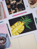 BV by Bruno Visconti - Pineapple Notebook