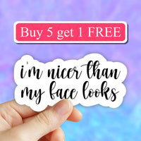 Neya Sticker Shop - I'm nicer than my face looks sticker, sarcasm laptop decal