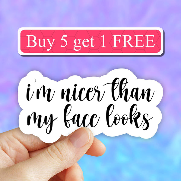 Neya Sticker Shop - I'm nicer than my face looks sticker, sarcasm laptop decal