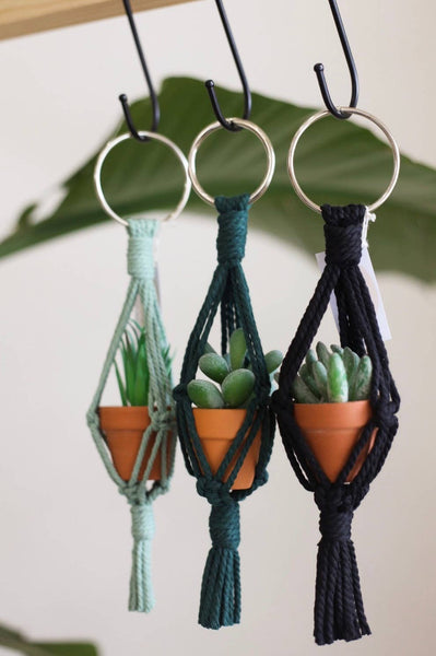 Gemini Rain - Mini Macrame Plant Hanger | Macrame Car Charm