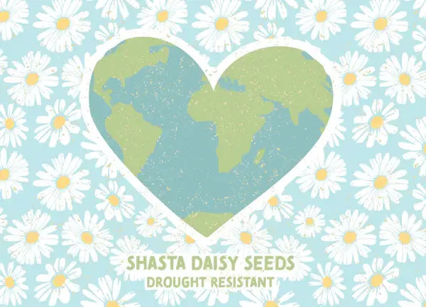 Bentley Seed Co. - 2023 Earth Earth Daisy-Horizontal - Shasta Daisy Seed Packet